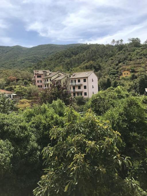 La Casa Novella, A 450 Metri Dal Mare Lejlighed Moneglia Eksteriør billede